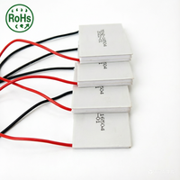 Module de refroidissement thermoélectrique haute puissance 24V, refroidisseur Peltier 40x40mm TEC119906 TEC119908 TEC119910