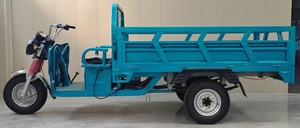 Tricycles TUKTUK E Trike <span class=keywords><strong>de</strong></span> 2 tonnes fabriqués en Chine, meilleur prix, véhicule <span class=keywords><strong>de</strong></span> transport <span class=keywords><strong>de</strong></span> marchandises - Product Image 5