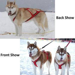 Arnés de diseño personalizado con marca premium Totalmente ajustable Basado en el diseño Canicross Arnés para perros Cinturón con correa elástica - Product Image 3