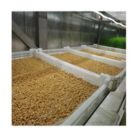 Système de culture hydroponique du fourrage en intérieur, équipement agricole vertical, conteneur d'expédition, conteneur pour fourrage de ferme, serre à vendre