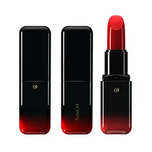 Mulheres tubo de cosméticos Maquiagem Batons orgânicos matte novo Batom lip creme lip gloss Barato