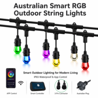 Guirlandes lumineuses intelligentes WiFi RGB, étanches IP65, approuvées SAA, pour décoration extérieure de patio, jardin, café, événements de mariage