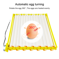 Haute 156 Oeuf Multifonction Rouleau Plateau À Oeufs 220V 110V 12V Mini Moteur Incubateur Automatique pour Oiseaux Poulet Canard Caille pour Fermes