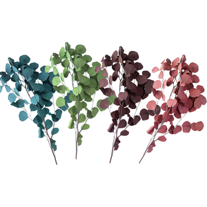 Nhà Máy Bán Buôn Bảo Quản Bạch Đàn Bạc Đô La Bạch Đàn Màu Xanh Lá Cây Teal Màu Đỏ Bảo Quản Thực Bạch Đàn Cho Trang Trí - Product Image 4