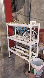 <span class=keywords><strong>Esponja</strong></span> <span class=keywords><strong>de</strong></span> plantación hidropónica multifuncional <span class=keywords><strong>cultivo</strong></span> sin suelo plantación <span class=keywords><strong>esponja</strong></span> <span class=keywords><strong>de</strong></span> filtro <span class=keywords><strong>de</strong></span> espuma PU <span class=keywords><strong>de</strong></span> celda abierta - Product Image 5