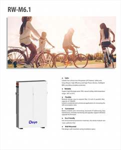 Baterai Lithium RW-M6.1 LiFePO4 51.2V 100Ah 5.53kwh Penyimpanan Energi Inverter Baterai Deye Baterai Ion Lithium Lifepo4 Tenaga Surya - Product Image 2