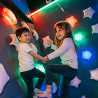 Mur d'escalade interactif en plastique pour salle de jeux intérieure avec poignées LED, capacité supérieure à 500 kg