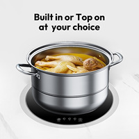 Cuisinière à induction solaire portable DC48V, table et encastrable pour camping-car, voyages en plein air, facile à utiliser