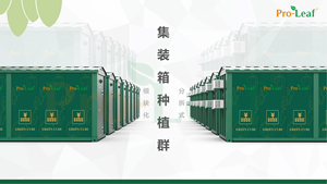 Refugio de setas inteligente, contenedor de cultivo, cámara de fructificación de setas inteligente, invernadero opaco inteligente - Product Image 2