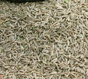 Zi วิ่งธรรมชาติดิบบริสุทธิ์แห้งทั้ง <span class=keywords><strong>jeera</strong></span> เมล็ดยี่หร่าสำหรับเครื่องเทศ - Product Image 5