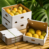 Witte mango verpakkingsdoos met ventilatiegaten, papieren vulling, aangepast logo, fruitverzenddoos voor mango-exporteurs, groothandel