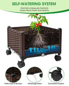 Pergola carrée à toit ouvrant 2026, très vendue, pour une croissance verticale des branches sans entrelacement, ventilation et pénétration de la lumière - Product Image 3