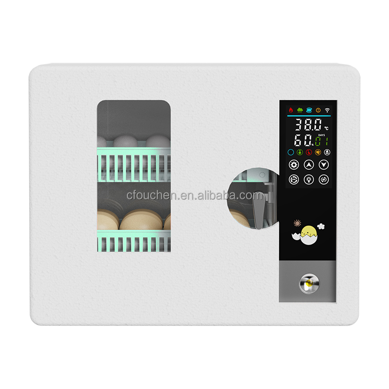 egg incubators 24 eggs