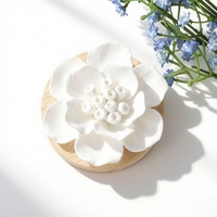 Diffuseur d'arômes en céramique parfumée aux huiles essentielles, pierre désodorisante pour la maison et la garde-robe