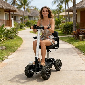 Scooter électrique pliable à 4 roues pour personnes âgées, 800/1000/1200/1500w, sac de golf inclus - Product Image 6