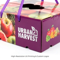 Boîte d'emballage de fruits personnalisée, pliable, à poignée, utilisée pour l'emballage du kiwi, du raisin, de l'orange, de la fraise, boîtes en carton ondulé