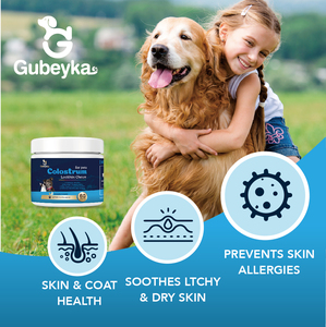 <strong>Pet</strong> Immune Support Health Dogs <strong>Pet</strong> <strong>Supplements</strong> Natural Soft Chews with High Colostrum - Product Image 4