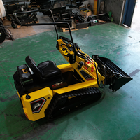Promotion : Mini-chargeuse compacte sur pneus diesel, chargeuse frontale, haute efficacité, engin de terrassement, moteur, godet de 250 kg