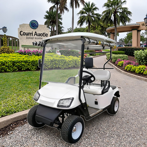 Voiturette de golf 2 places de qualité supérieure, prix promotionnels de gros du fabricant, best-seller répondant à la demande - Product Image 1