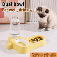 Distributeur d'eau automatique par gravité, gamelle double intégrée pour animaux de compagnie avec plateau d'alimentation en plastique