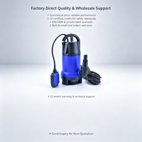 Pompe submersible portable 230V pour eaux usées avec interrupteur à flotteur automatique, personnalisable OEM, en plastique, pour eaux boueuses, pour sous-sol et jardin