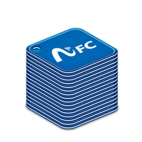 Porte-clés code QR personnalisé avec URL programmable RFID Epoxy NFC Pet ID Tags