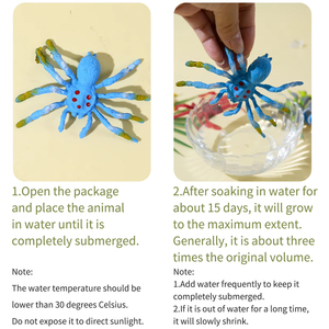 6 figurines d'insectes en EVA, modèle araignée, jouet éducatif pour enfants, jeu interactif à la maison, cadeau de loisirs - Product Image 4