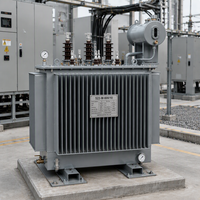 Transformateur de distribution triphasé immergé dans l'huile S22 M, entièrement scellé, cuve corruguée, 10 kV 0,4 kV Dyn11 pour la distribution d'énergie
