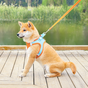 เสื้อกั๊กไนลอนแบบมีสายรัดปรับระดับโลโก้และดีไซน์เนอร์สำหรับสุนัข/แมวเป็นมิตรกับสิ่งแวดล้อม - Product Image 3