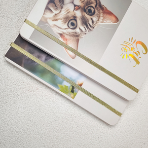 GF Phim Hoạt Hình Vui Mèo Trường Văn Phòng Quà Tặng Nhà Máy Tính Xách Tay Tùy Chỉnh In A5 Lá Vàng Tạp Chí Bìa Cứng Máy Tính Xách Tay Cho Những Người Yêu Mèo - Product Image 6