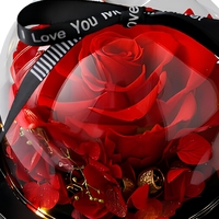 Konservierte Rose in Glaskuppel, Langlebiges Ewiges Blumengeschenk für Muttertag, Valentinstag, Abschlussfeier, Ostern