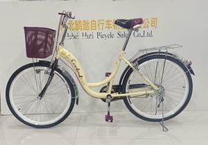 Vélo de ville classique à une vitesse, 26 pouces, en gros, acier à haute teneur en carbone, jantes en alliage d'aluminium, double siège, vélo hollandais vintage - Product Image 4