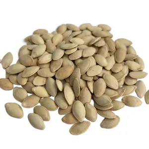 wuxiang seed pumpkin egusi pumpkin seeds big size for Asia market