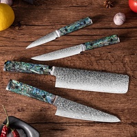 Ensemble de couteaux de qualité supérieure Vente en gros Manche en coquille d'ormeau Damas VG10 Couteaux de cuisine à noyau en acier Ensemble de couteaux