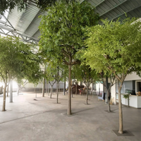 Grand olivier artificiel personnalisé grand arbre réaliste d'intérieur et d'extérieur grand arbre réaliste