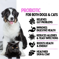Suppléments pour chiens disponibles en OEM/ODM, gel digestif pour animaux de compagnie, soutien à la santé digestive, soins digestifs, probiotiques