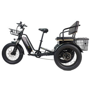 Tricycles électriques longue portée Batterie 48v 20ah <span class=keywords><strong>Tricycle</strong></span> électrique Siège arrière 3 roues Vélo cargo électrique pour bébé - Product Image 5