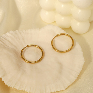 Hoop Earrings Gold Plated Stainless Steel Geometric Circle Everyday Wear - Product Image 1