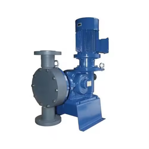 Bomba Dosificadora de Cloro Automática Seko para Líquidos Químicos - Product Image 1