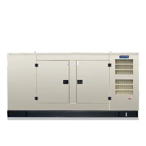 150kva 60kva Draagbare Geluiddichte/Stille Elektrische Dieselgenerator Met Beroemde Merkmotor