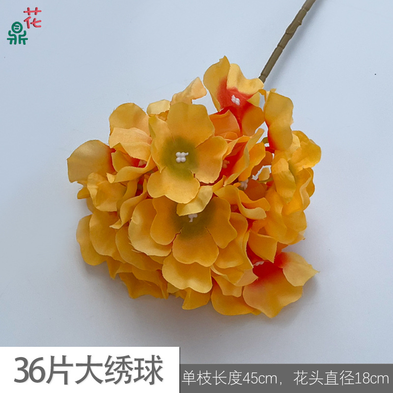 36 pieces of large hydrangea ln orange