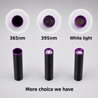 Senter Aluminium 3W Saku UV Ultraviolet 365nm dengan Filter ZWB2, Dapat Diisi Ulang USB-C, Tahan Air, Deteksi Tinta Tak Terlihat, Cahaya Hitam