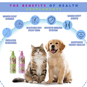 Suplementos nutricionales para mascotas para gatos, perros, aceite de pescado, cuidado del cabello para mascotas, <span class=keywords><strong>Omega</strong></span> 3 6 9, procesamiento OEM de aceite de salmón salvaje, aceite de salmón - Product Image 2