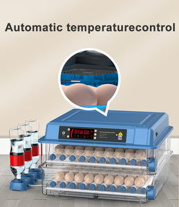 Prix de Gros <span class=keywords><strong>Couveuse</strong></span> <span class=keywords><strong>200</strong></span> Œufs Équipement d'Incubation Automatique Mini-Incubateurs pour Éclosion de Poulets - Product Image 6