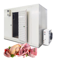 Op maat gemaakte container koelcel met Copeland compressor koelinstallatie voor de opslag van vis, vlees, fruit en groenten