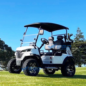 Voiturette de golf électrique 2 places personnalisable certifiée CE avec batterie au lithium, véhicule de navettage pour hôtels et complexes hôteliers à vendre - Product Image 4