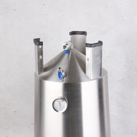 Fût de brassage sous pression en acier inoxydable 30/70L pour la fermentation de bière maison et de vin maison, écologique et à pression auto-étanche BrightDay