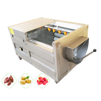 Automatische Groentehuidborstel Wasschiller Machine Voor Het Schillen Van Aardappelen Cassave Zoete Aardappel Wortelbiet