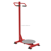 Appareil de musculation professionnel Aon-Fitness 2025 – Machine à torsion debout avec plaques de poids