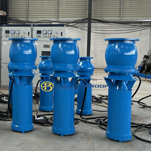 Supply Agricultural Irrigation Large Capacity Electric Submersible Axial Flow Pump 380V-660V 7.5-800kW - Product Image 5